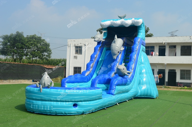 YKW001 Dolphin Inflatable Water Slide