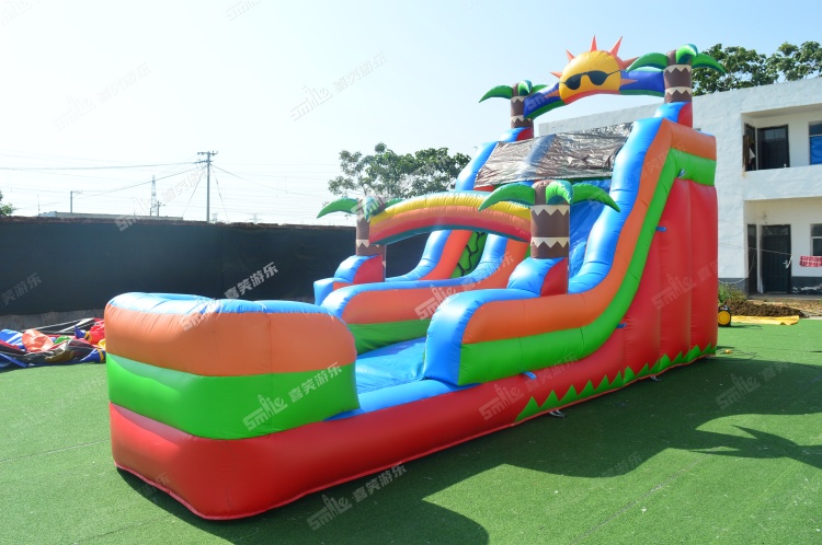 YKW008 Tropical Water Slide Inflatable