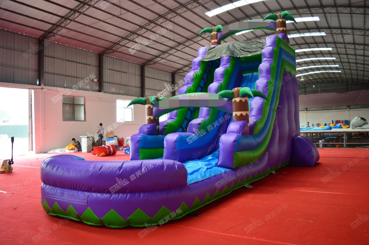 YKW046 Tropical Waterslide Inflatable